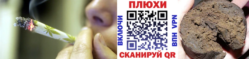 ГАШ Premium  Черноголовка 