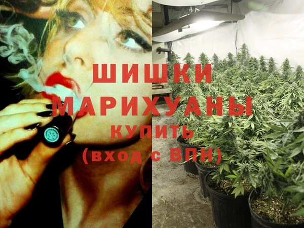 круглые Алзамай