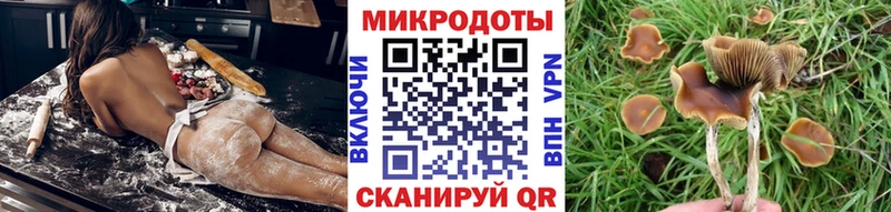 Галлюциногенные грибы GOLDEN TEACHER  Черноголовка 